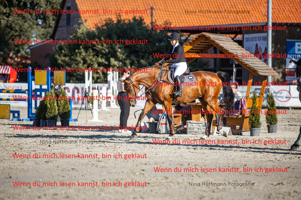 BK1A7744 | Turnierbilder Turnierfotos Nina Hüffmann Turnierfotografie Pferdefotografie Tierzeichnung Haustierzeichnung Pferdezeichnung Hundezeichnung Videograf  - Realisiert mit Pictrs.com