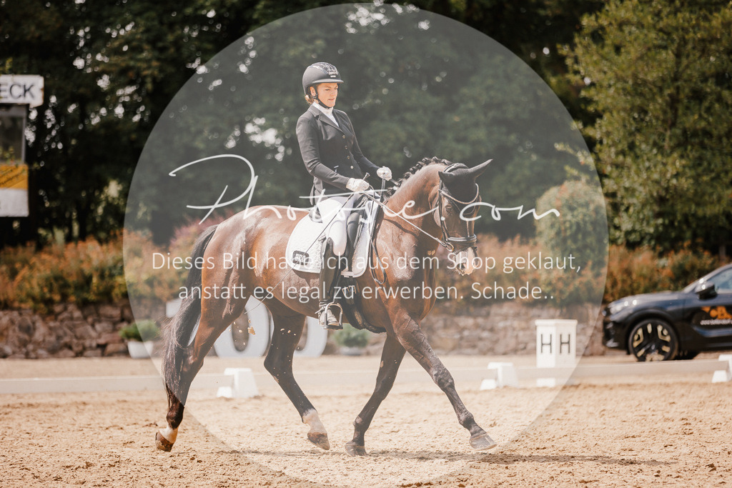 3I6A6281 | Stimmungsvolle Portraits und Reitsportfotografie im Ruhrgebiet und im Münsterland.

Pferdefotografie, Hundefotografie, Tierfotografie, Reportagen, Portraits von Tier und Mensch, Turnierfotografie in Bochum, Recklinghausen, Marl, Haltern am See, Dülmen.. - Realisiert mit Pictrs.com