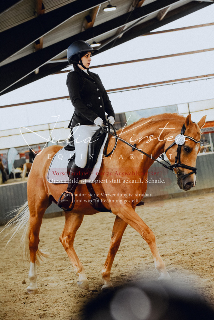 DSC_7238 | Pferde- und Turnierfotografie in Westsachsen. Pferdeportraits, Auftragszeichnungen und intuitive Kunst.