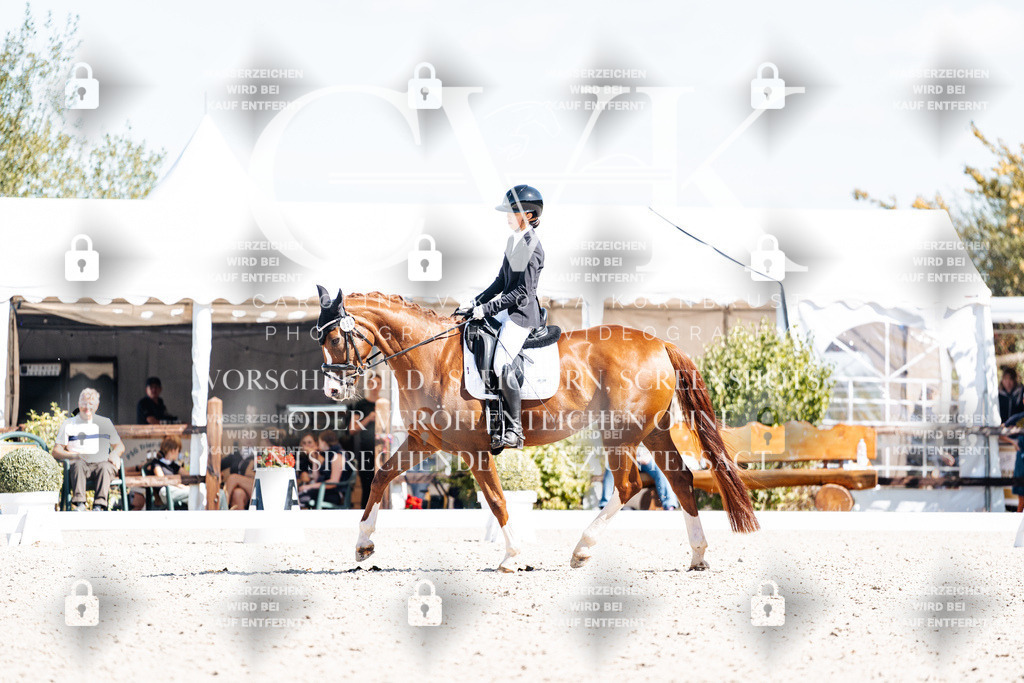 CK904054 | Turnierfotografie Pferdefotografie Trier Rheinland-Pfalz Pferdesport Reitsport Tierfotografie Sportfotografie Pferdevideo Pferdevideografie Equestrianvideography equestrianphotography  - Realisiert mit Pictrs.com