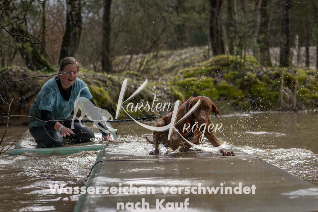 1400_ZZ91228 | kk-dogfotos