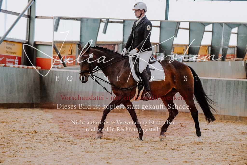 DSC_7701 | Pferde- und Turnierfotografie in Westsachsen. Pferdeportraits, Auftragszeichnungen und intuitive Kunst.