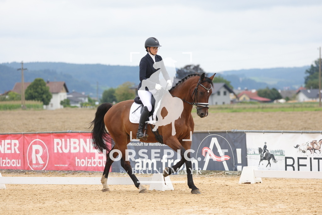 0P6A8984 | Willkommen bei Brunnmayr - Design & Fotografie – Ihrem Spezialisten für Reitturniere und Pferdeveranstaltungen in Oberösterreich, Salzburg und Bayern! Seit über 17 Jahren sind wir leidenschaftlich dabei.
