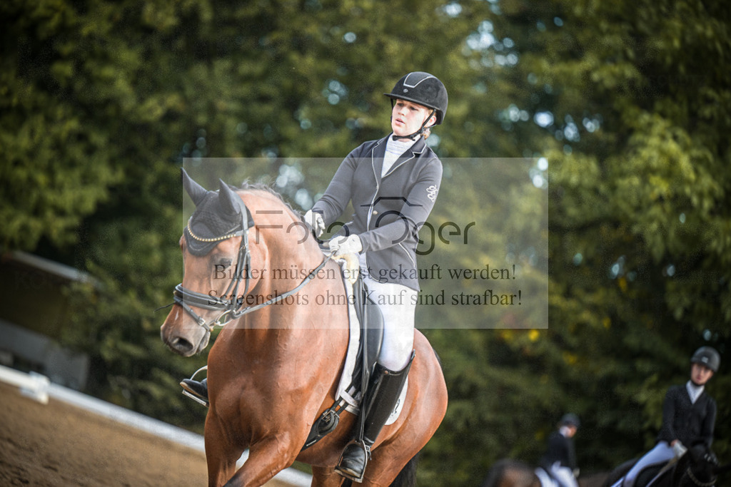 DOS_0957 | Entdecke hochwertige Reitturnierfotos von Foto Oger. Professionell, emotional und authentisch – jetzt Lieblingsmomente im Shop bestellen.Deutschlandweite Turnierfotografie. - Realisiert mit Pictrs.com