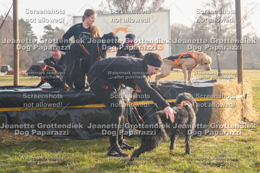 Dog Paparazzi - SD North 0326 900930-168 | Dog Paparazzi Jeanette Grottendiek Fotografie & Videografie - Realisiert mit Pictrs.com