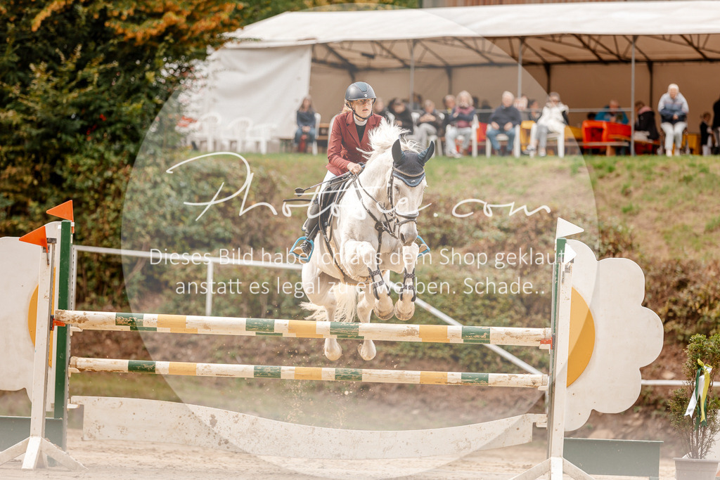 3I6A8106 | Stimmungsvolle Portraits und Reitsportfotografie im Ruhrgebiet und im Münsterland.

Pferdefotografie, Hundefotografie, Tierfotografie, Reportagen, Portraits von Tier und Mensch, Turnierfotografie in Bochum, Recklinghausen, Marl, Haltern am See, Dülmen.. - Realisiert mit Pictrs.com