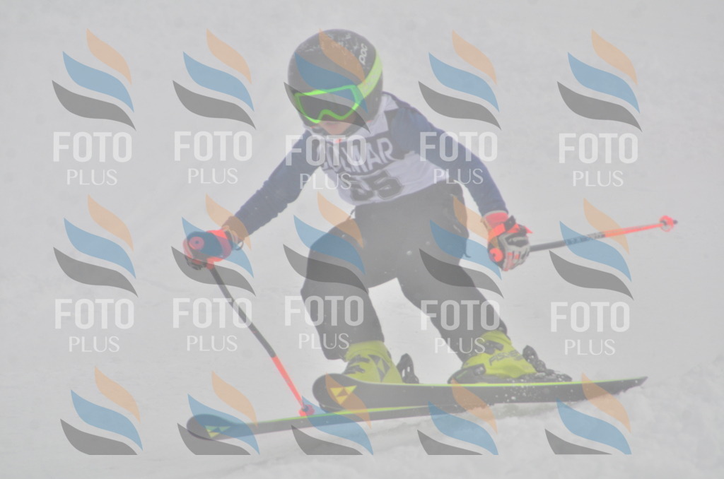 A5425 | holidayphoto