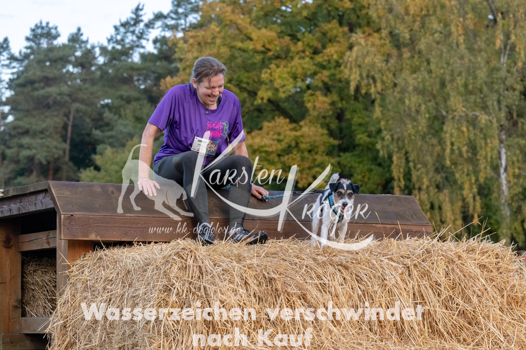 0811_ZZ94750-Bearbeitet | kk-dogfotos