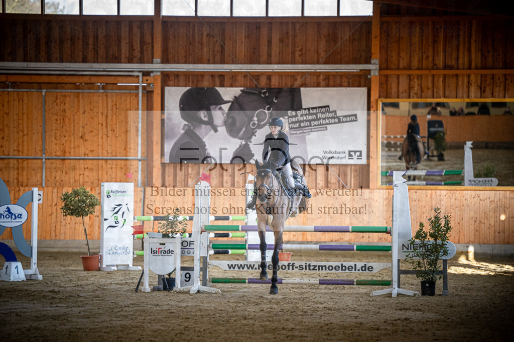 DOS_0806 | Entdecke hochwertige Reitturnierfotos von Foto Oger. Professionell, emotional und authentisch – jetzt Lieblingsmomente im Shop bestellen.Deutschlandweite Turnierfotografie. - Realisiert mit Pictrs.com