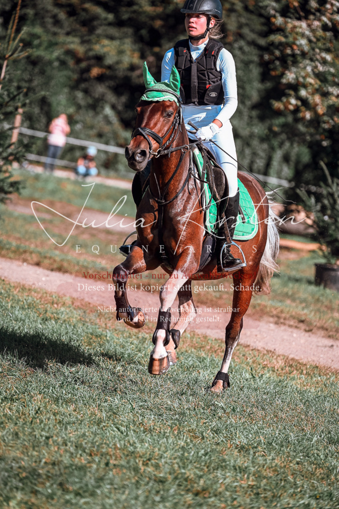 DSC_0860 | Pferde- und Turnierfotografie in Westsachsen. Pferdeportraits, Auftragszeichnungen und intuitive Kunst.