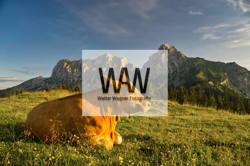 WWW07276 | walter-wagner-fotografie