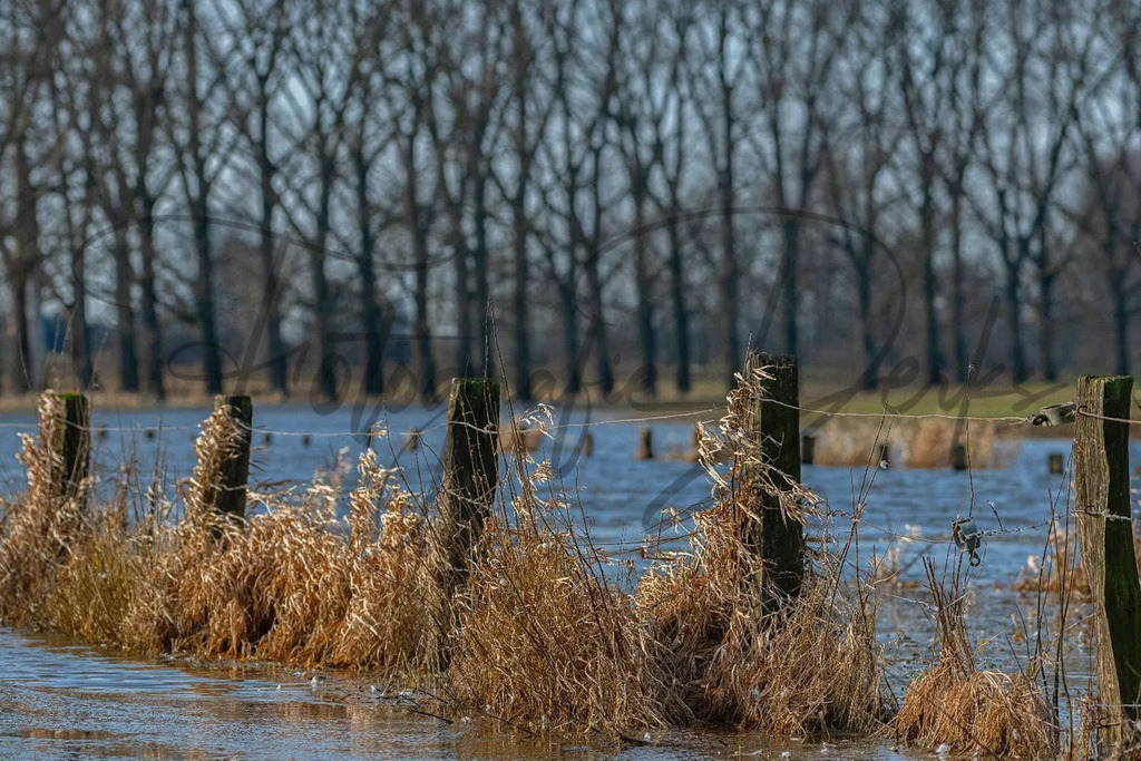Bilder Homepage-5 | fotografie-derks - Realisiert mit Pictrs.com