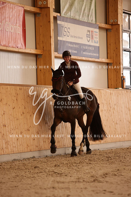 1J2A3005Leonie Ulrich_ Campino M 5_ Kn058_ Hohen Wieschendorf_ Glantz | Foto- und Videografie für alles rund ums Pferd. Hochwertige Bilder und Videos vom Spring- und Dressurreiten, Voltigieren & mehr. Jetzt aktuelle Veranstaltungen und Preise im Shop ansehen. - Realisiert mit Pictrs.com