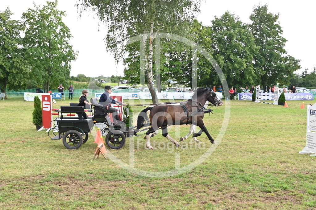 DSC_4474 | sattelsport - Realisiert mit Pictrs.com