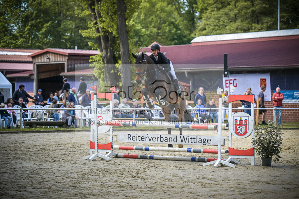 DOS_6373 | Entdecke hochwertige Reitturnierfotos von Foto Oger. Professionell, emotional und authentisch – jetzt Lieblingsmomente im Shop bestellen.Deutschlandweite Turnierfotografie. - Realisiert mit Pictrs.com