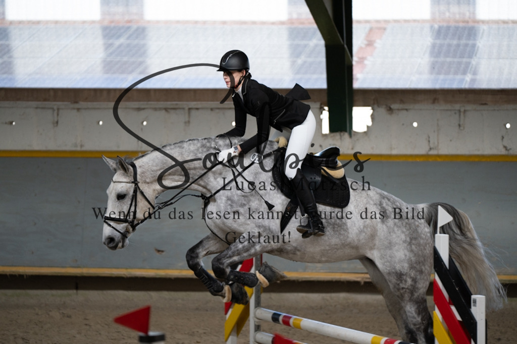 A7V02004 | Pferdefotograf