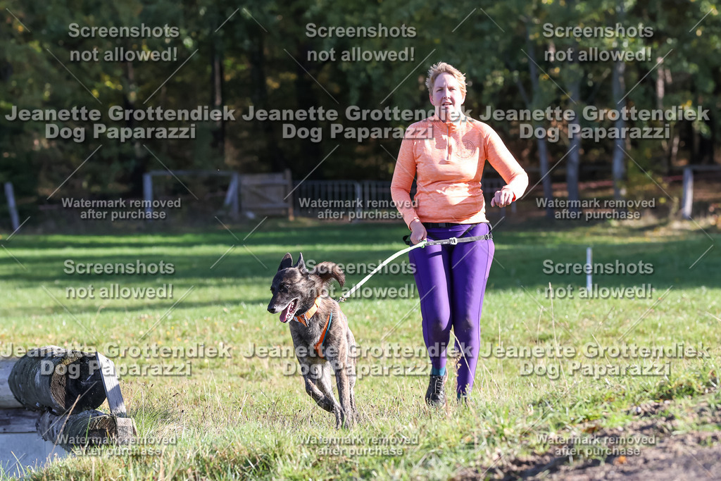 Dog Paparazzi - Strongdog 10-25-8708 | Dog Paparazzi Jeanette Grottendiek Fotografie & Videografie - Realisiert mit Pictrs.com