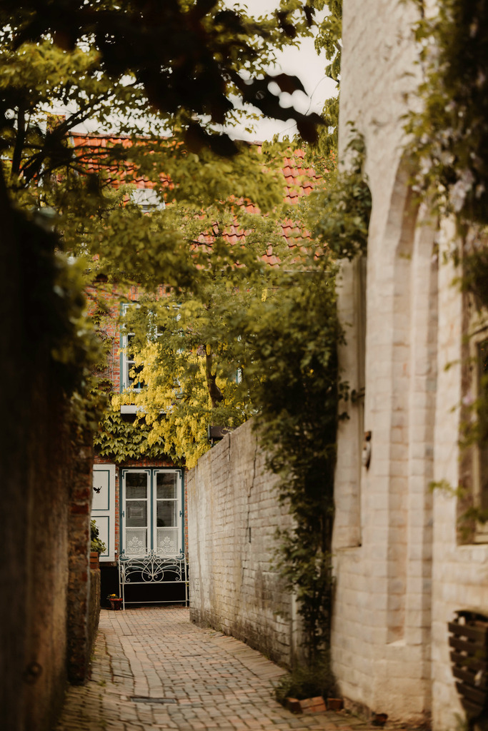 Lübeck_Mai_2023_14 | Du suchst natürliche und atmosphärische Prints oder Leinwanddrucke? In diesem Shop gibt es alles, nur kein Mainstream. - Realisiert mit Pictrs.com