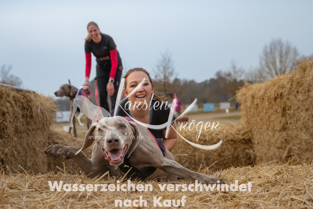 0840_ZZ94133-Bearbeitet | kk-dogfotos