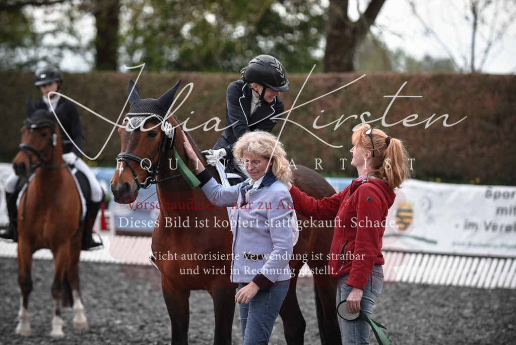 20230513_JK-Röhrsdorf-14-1035 | Pferde- und Turnierfotografie in Westsachsen. Pferdeportraits, Auftragszeichnungen und intuitive Kunst.