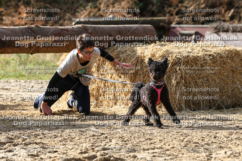 Dog Paparazzi - Strongdog 10-25-5893 | Dog Paparazzi Jeanette Grottendiek Fotografie & Videografie - Realisiert mit Pictrs.com