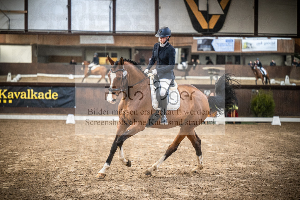 DOS_0156 | Entdecke hochwertige Reitturnierfotos von Foto Oger. Professionell, emotional und authentisch – jetzt Lieblingsmomente im Shop bestellen.Deutschlandweite Turnierfotografie. - Realisiert mit Pictrs.com