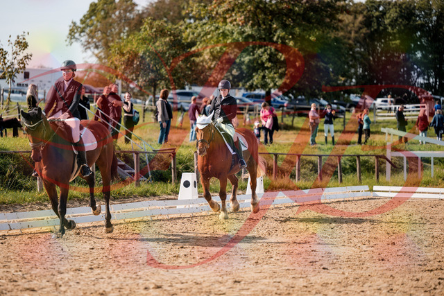 2026_10_03_Siefer-Hof_130345_Z63_66158815 | Professionelle Reitsport-, Turnier- und Eventfotografie von Robert Broda. Galerien mit ausgewählten und bearbeiteten Bildern direkt online ansehen und bestellen.