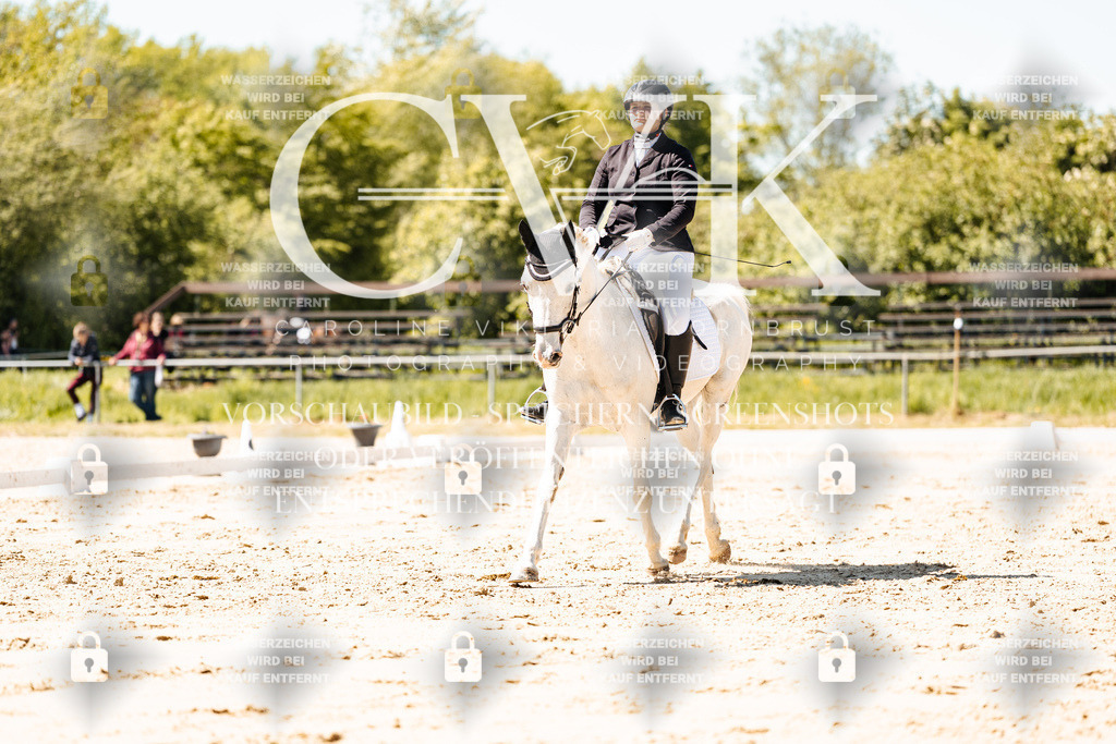 CK905481 | Turnierfotografie Pferdefotografie Trier Rheinland-Pfalz Pferdesport Reitsport Tierfotografie Sportfotografie Pferdevideo Pferdevideografie Equestrianvideography equestrianphotography  - Realisiert mit Pictrs.com