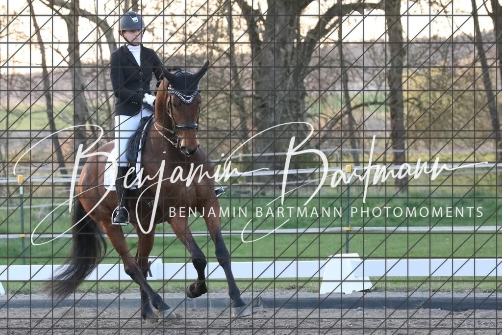 AZ2A6058 | Benjamin Bartmann Photomoments