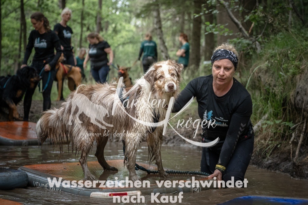 1226_ZZ99076T | kk-dogfotos