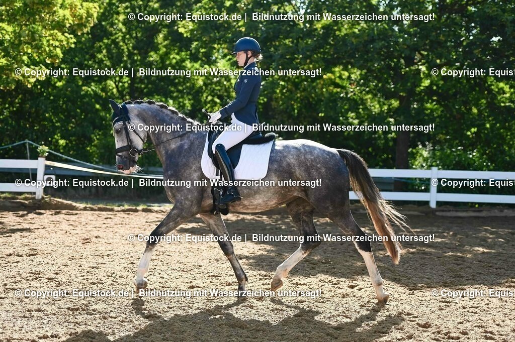 20230715_06_Dressurpferdeprfg. Kl.A_0298 | equistock