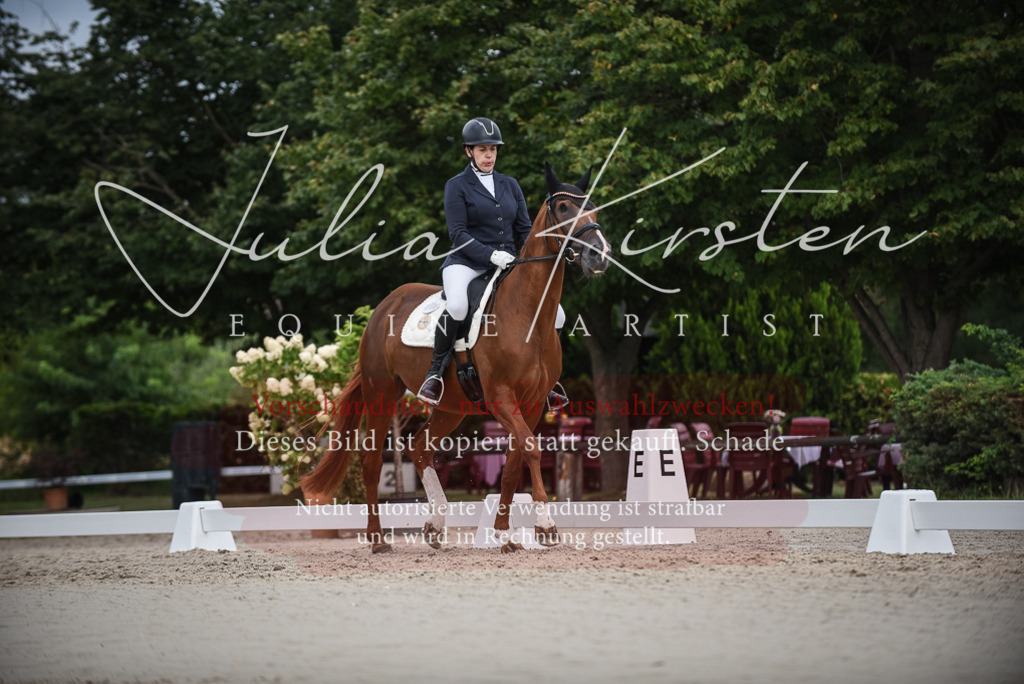 DSC_8370 | Pferde- und Turnierfotografie in Westsachsen. Pferdeportraits, Auftragszeichnungen und intuitive Kunst.