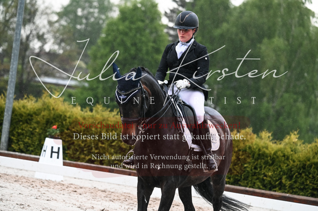 DSC_4701 | Pferde- und Turnierfotografie in Westsachsen. Pferdeportraits, Auftragszeichnungen und intuitive Kunst.