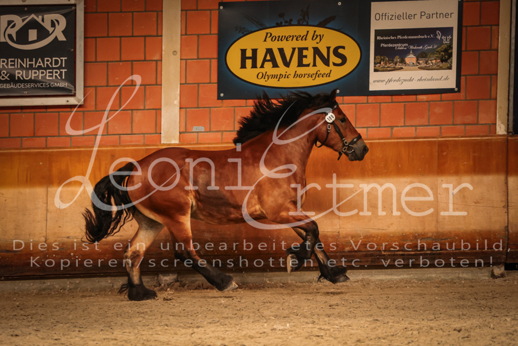 SaFL00156 | Leoni Ertmer Photography - Realisiert mit Pictrs.com