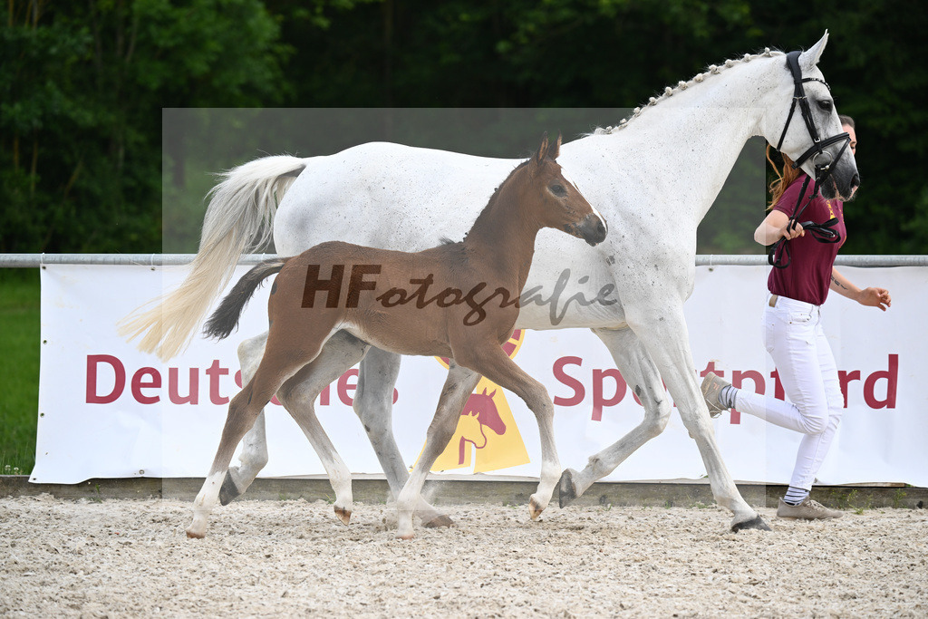 Diacord x Ciacomini_SF_Trukenbrod_20241158 | hf-fotografie - Realisiert mit Pictrs.com