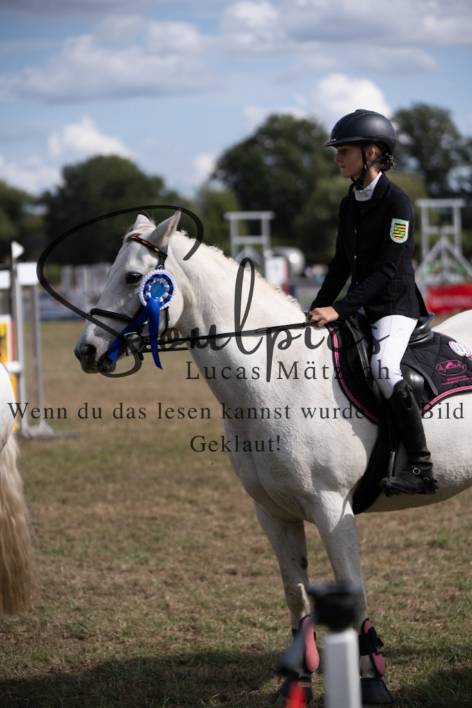 A7V08867 | Pferdefotograf