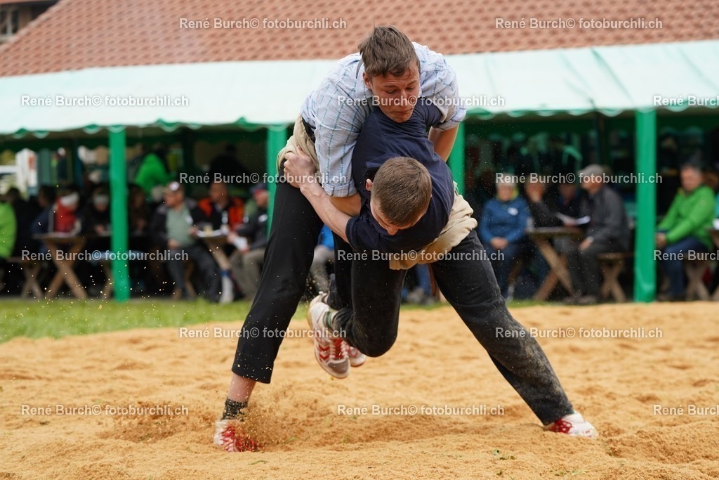20220424-DSC09518 | René Burch leidenschaftlicher Fotograf aus Kerns in Obwalden.  Hier finden sie Sport, Landschaft und Natur Fotografie.
 - Realisiert mit Pictrs.com