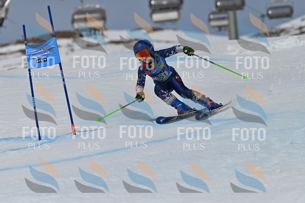 BGV_6904 | holidayphoto