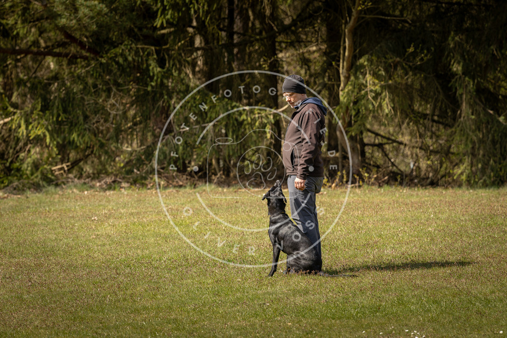 Pfotenfotografie_DV3A1270 | Hundefotografie, Tierfotograf, Pfotenfotografie, Fotoshooting Hund, Hunde Portrait, Hundesport, Hundeportraits, Heideshooting, Hunde, Sportfotograf, Hundefotograf, Turnierhundsport, THS,  - Realisiert mit Pictrs.com