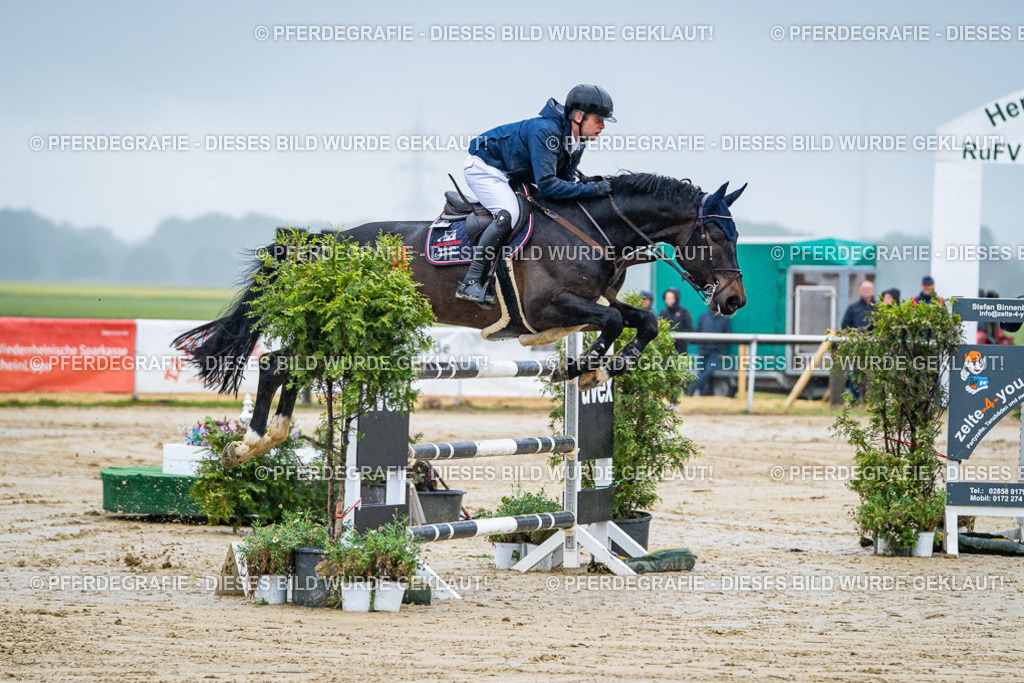 DSC03382 | Pferdegrafie