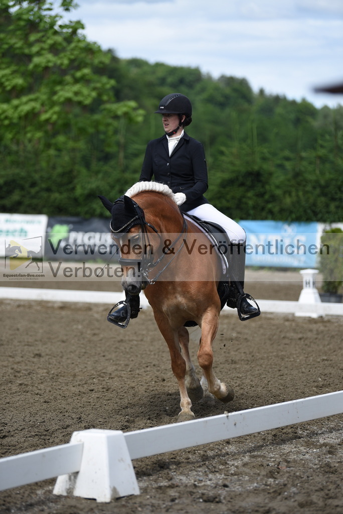 DSC_0560 | equestrian-live-com