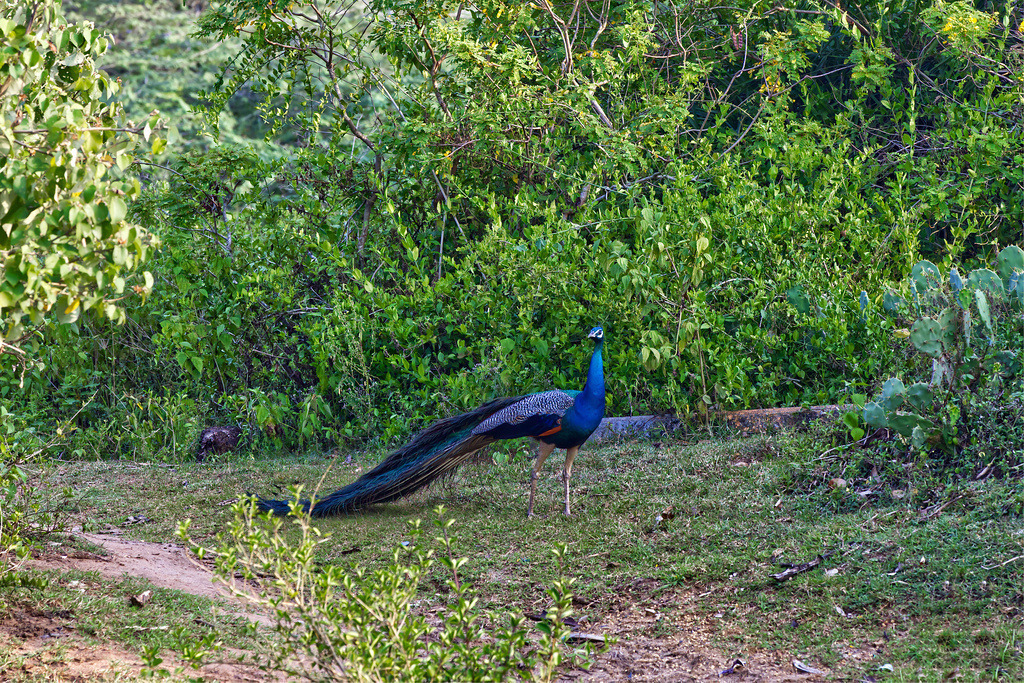 1H5A0950 | ansichtssache