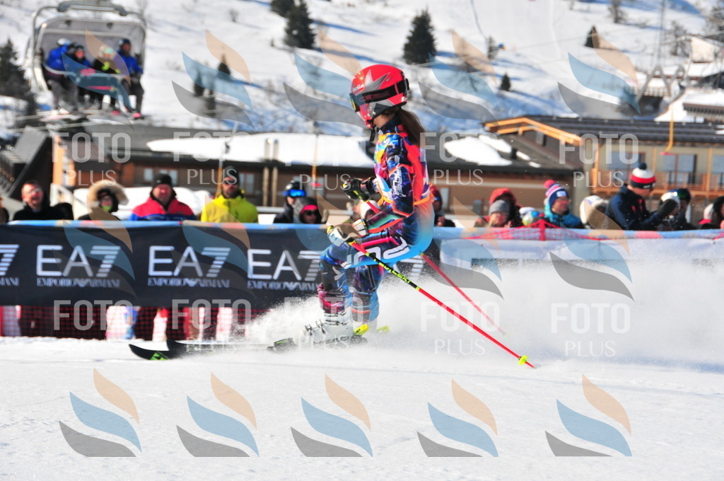 DSC_3692 | holidayphoto