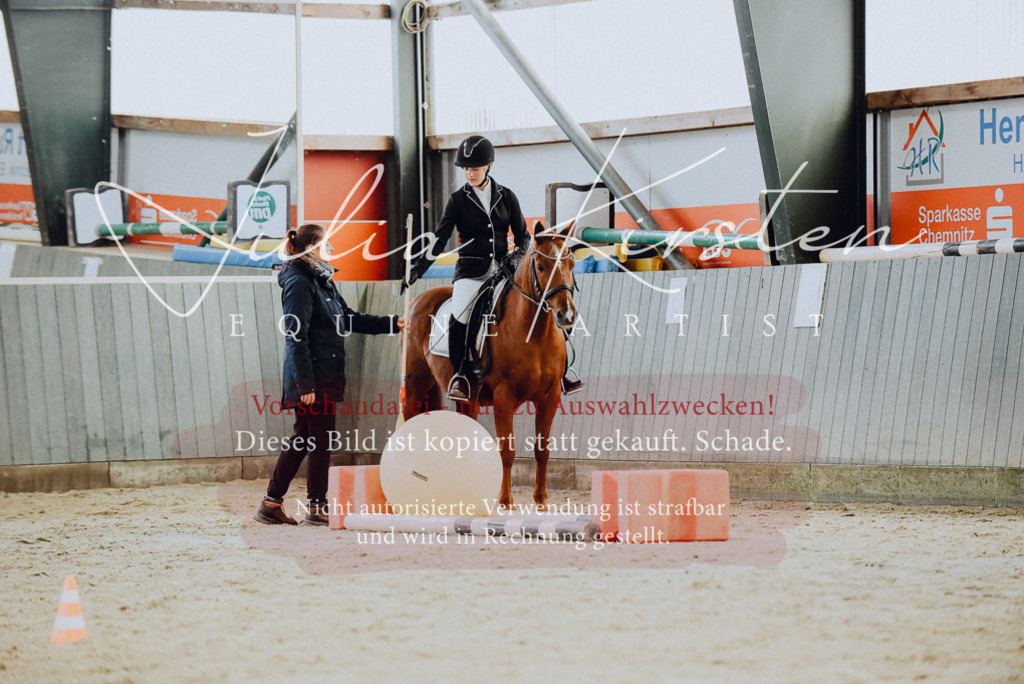 DSC_6775 | Pferde- und Turnierfotografie in Westsachsen. Pferdeportraits, Auftragszeichnungen und intuitive Kunst.