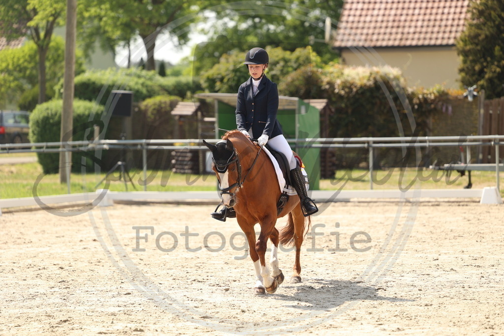 994A7422 | sabrinanicolaifotografie - Realisiert mit Pictrs.com