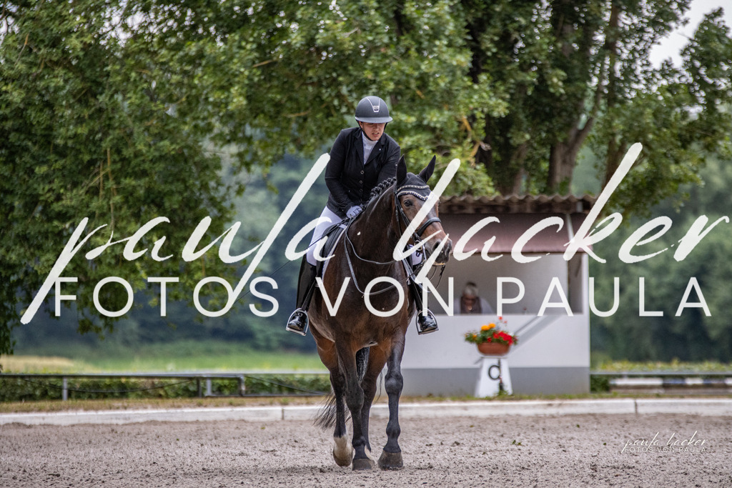 IMG_6547 | Erleben Sie dynamische Sport- und emotionale Tierfotografie in Süddeutschland mit Fotos von Paula. Spezialisiert auf Pferde- und Hundefotografie sowie Sportevents. Kontaktieren Sie mich für einzigartige und ausdrucksstarke Bilder Ihrer besonderen Momente.