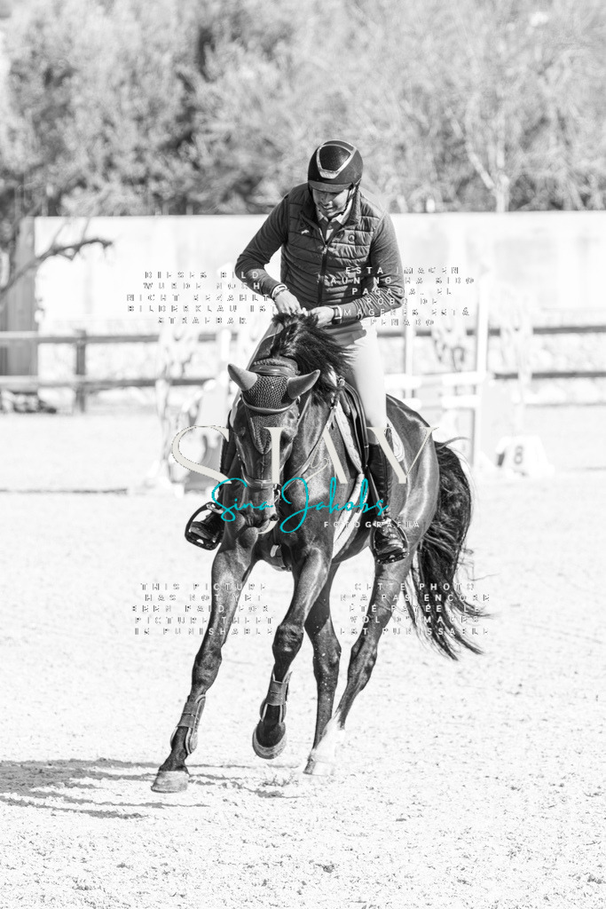 IMG_4015-Verbessert-RR | s-jay-photography - Realisiert mit Pictrs.com