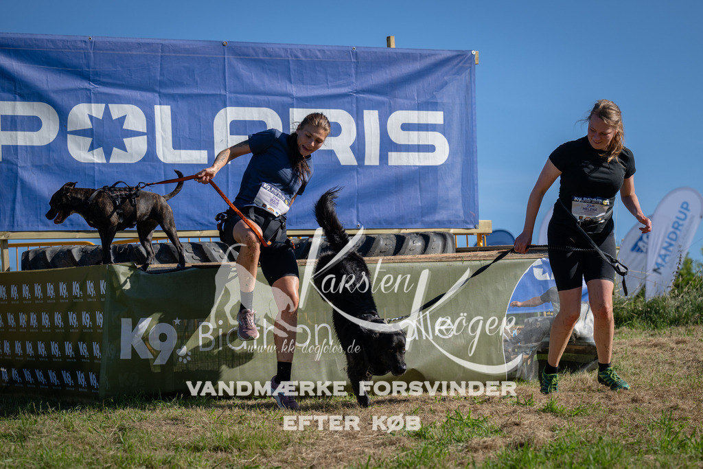 1001_ZZ97204 | kk-dogfotos