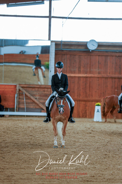 _62_5729 | Turniersportfotografie; Pferdefotografie; Dressurfotografie