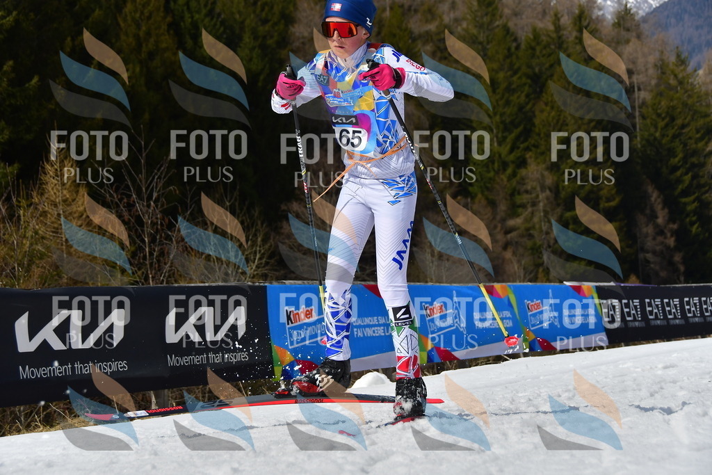 _DSC0853 | holidayphoto